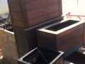 IMG-20160823-WA002