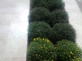 uygulamalar-2 (14)
