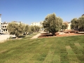 uygulamalar-2 (7)