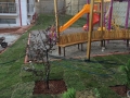 uygulamalar-2 (8)
